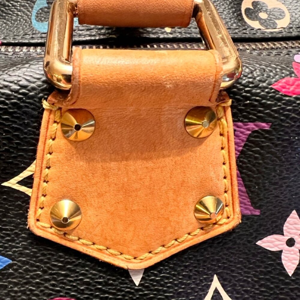 Authentic Louis Vuitton Multi Color Speedy 30 - Picture 11 of 15